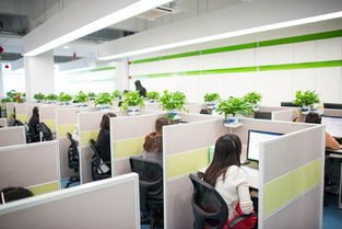 深圳呼叫中心外包服务 专业客服团队、自建大型职场与定制软件开发的一站式解决方案