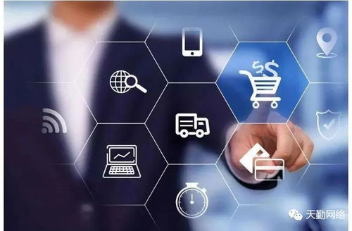 软件开发实训中的关键技术 算法、结构与生命周期