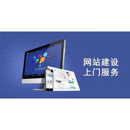 专业网站制作与软件开发服务 天泽网络助力拉萨企业数字化转型